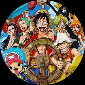 One Piece Pirate King, One Piece