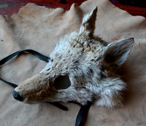 Coyote mask by Lupa. At https://www.etsy.com/listing/205847653/real-eco-friendly-pale-wild-coyote-fur Coyote Fursuit, Coyote Therian Mask, Therian Coyote, Coyote Totem, Coyote Mask, Coyote Therian, Off White Comic, Lady Grinning Soul, Coyote Tail