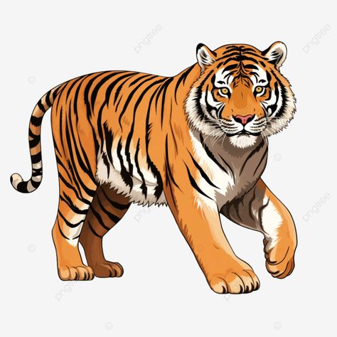 grooming majesty tiger s meticulous clip art pose tiger clipart animal wildlife clipart png Tiger Clipart, Animal Wildlife, Transparent Image, Jungle Safari, Compare And Contrast, Art Poses, Clipart Png, New Art, Graphic Resources