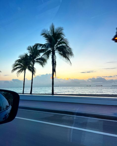 florida summer aesthetic sunrise palm trees ft lauderdale morning beach trip cute beach pic Ft Lauderdale Aesthetic, Florida Summer Aesthetic, Aesthetic Sunrise, Ft Lauderdale Florida, Florida Aesthetic, Morning Beach, Florida Summer, Beach Pic, Beach Sunrise