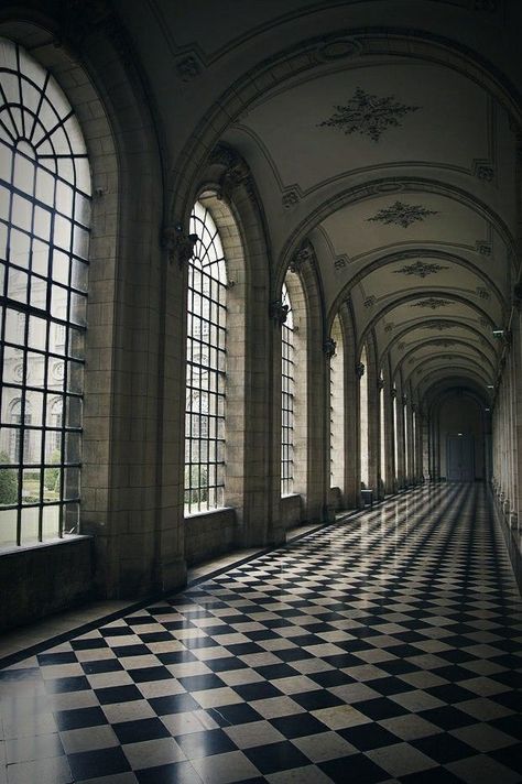 Dark Academia Mansion, Gothic Hallway, Gothic Castle Interior, Gothic Architecture Aesthetic, Goth Castle, Victorian Gothic Mansion, Castle Aesthetic Interior, Goth Architecture, Manor Aesthetic