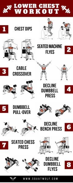 8 Lower Chest Workouts for Defined Pecs - SQUAT WOLF Chest And Abs Workout Gym, Pecs Exercises, Chest Workout At Gym, Lower Chest Exercises, Gym Chest Workout, Chest Day Workout, Lower Chest Workout, Chest And Tricep Workout, Chest And Back Workout