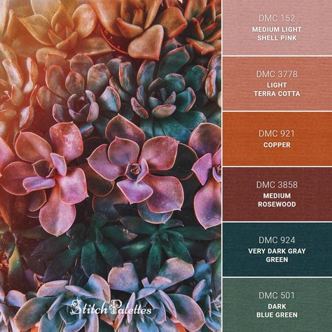 Succulents And Sunshine - Embroidery Color Palette (With Thread Codes) Embroidery Color Palette, Color Schemes Colour Palettes, Color Palate, Color Palette Design, Colour Pallette, Colour Pallete, Color Inspo, Colour Board, Color Stories