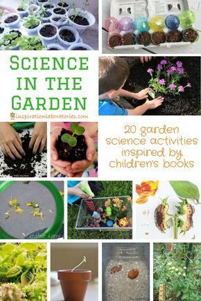 I love this collection of garden science activities inspired by children's books Nature, Montessori, Garden Science, Garden Unit, Books Inspiration, Kid Science, Preschool Garden, Garden Activities, Nature School