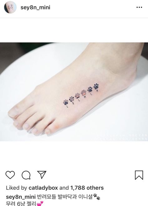 4 Paws Tattoo, 2 Dogs 1 Cat Tattoo, Discreet Cat Tattoo, Kitty Paw Print Tattoo, Dog Paw Initial Tattoo, Cat Tattoo With Paw Prints, Paw Prints With Initials Tattoo, 5 Cat Tattoo, 5 Cats Tattoo