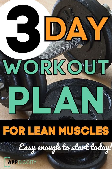 Gym Weekly Workout Plan, 3 Day Workout Routine, Lean Muscle Workout, Workout Programs For Men, Lean Body Workouts, Dumbbell Workout Plan, 3 Day Workout, Total Body Workout Plan, Lean Workout