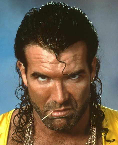 90s Wrestlers, Hall Pictures, Stephanie Mcmahon Hot, Jake The Snake Roberts, The Clique, Scott Hall, World Championship Wrestling, Watch Wrestling, Professional Wrestlers