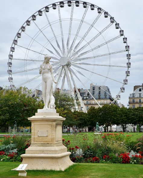 A Walk Through the Tuileries Garden in the Summer | Landen Kerr Flower Beds, Essen, Tuileries Garden, Walking Routes, Take A Walk, A Walk, Ferris Wheel, Statue Of Liberty, Photo Ideas