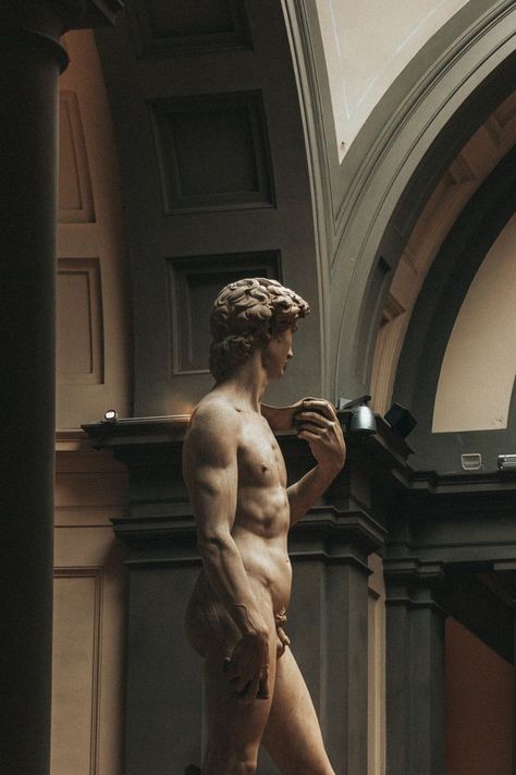 Statue Of David Aesthetic, David Wallpaper, David Of Michelangelo, Michelangelo Tattoo, The Statue Of David, Michelangelo Sculpture, Michelangelo David, Photo Editing Styles, David Michelangelo