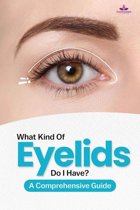 What Kind Of Eyelids Do I Have: A Comprehensive Guide Types Of Eyelids Eye Shapes, Eye Lid Types, Types Of Eyelids, Double Lids Eye Makeup, Makeup By Eyelid Types, Eye Types, Double Eyelids, Different Types Of Eyes, Hooded Lids