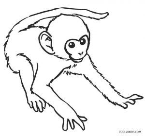 Free Printable Monkey Coloring Pages for Kids | Cool2bKids Monkey Coloring Pages, Monkey Drawing, Monster Coloring Pages, Cartoon Monkey, Animal Art Projects, Color Sheets, Monkey Pictures, Cartoon Drawing Tutorial