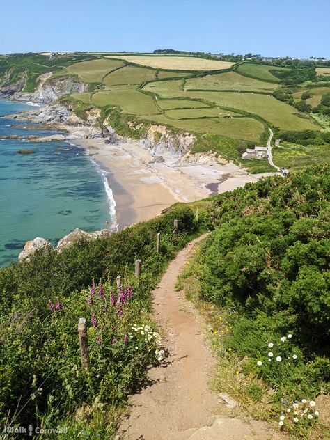 Cornwall Beach House, Summer In Cornwall, Cornwall Countryside, Cornwall Aesthetic, Cornwall Landscape, Ireland Coast, Cornwall Summer, Cornwall Cottage, Cornwall House