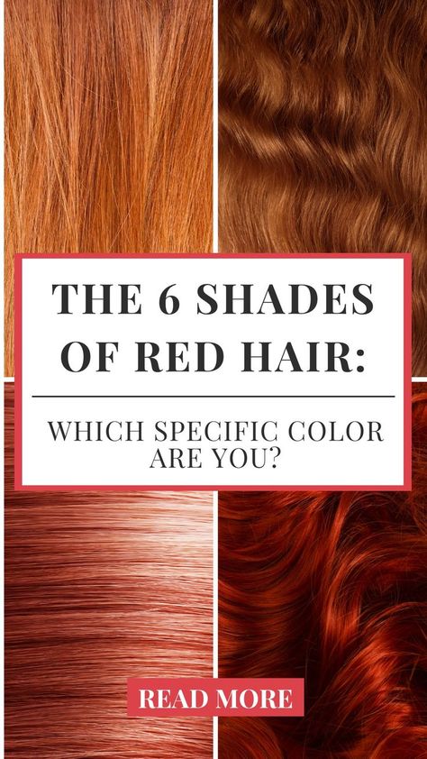 Red Hair All Over Color, Shades Of Red Hair Color Chart, Types Of Red Hair Shades, Auburn Vs Copper Hair, Shades Of Red Hair Chart, Red Hair Shades Chart, Red Hair Chart, Blonde Hair Dyed Red, Hair Color For Skin Tone Charts