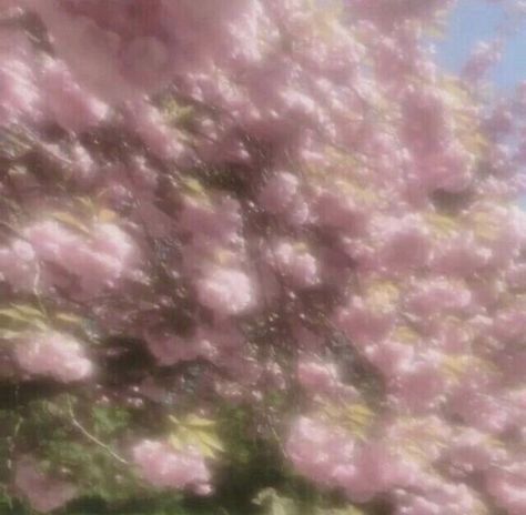 Ethereal Aesthetic, Fairy Aesthetic, Angel Aesthetic, + Core + Aesthetic, Flower Aesthetic, Nature Aesthetic, Pastel Aesthetic, Aesthetic Photo, Pink Aesthetic