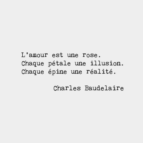 Love is a rose. Every petal an illusion. Every thorn a reality. Charles Baudelaire French poet Poetry Quotes, French Poems, Charles Baudelaire, French Phrases, Quotes Poetry, French Quotes, French Words, St Valentin, Poem Quotes