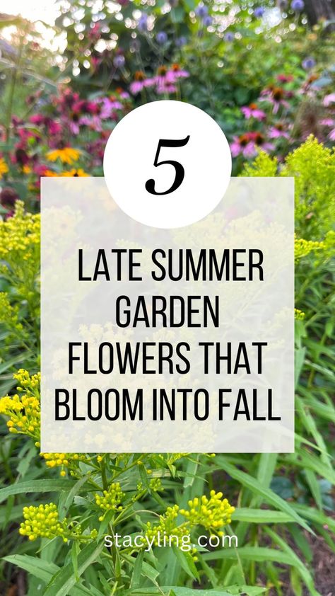 Plant these 5 late summer garden flowers to help bring your garden into fall with extended bloom times and beautiful fall colors. #gardendesign #gardenideas #gardeninspiration #flowerbedinfrontofhouse Late Summer Planters, Fall Flowering Plants, Late Summer Aesthetic, Summer Garden Flowers, Fall Container Plants, Fall Goals, Late Summer Garden, Carnation Colors, Summer Blooming Flowers