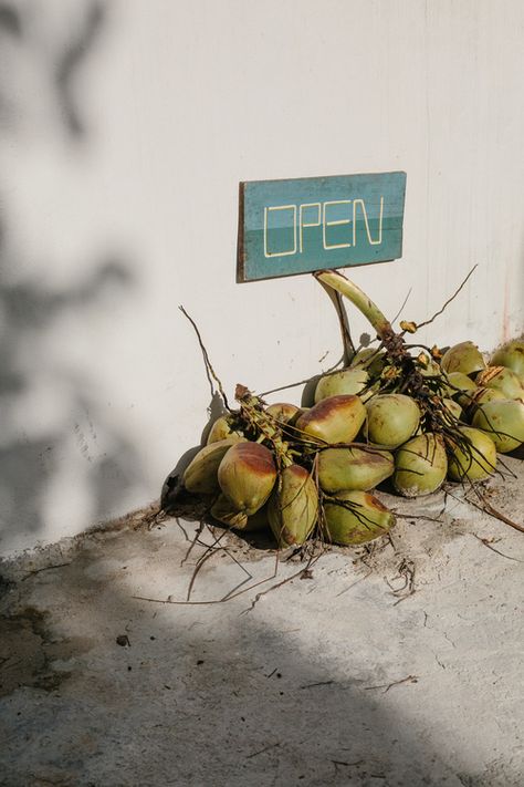 M. K. Sadler - LA Travel Photographer Tulum Tulum Pool, Caribbean Summer, Indigo Jewelry, La Travel, Ceramic Wall Planters, San Francisco Girls, Bohemian Modern Style, Elsie Green, Beeswax Tapers