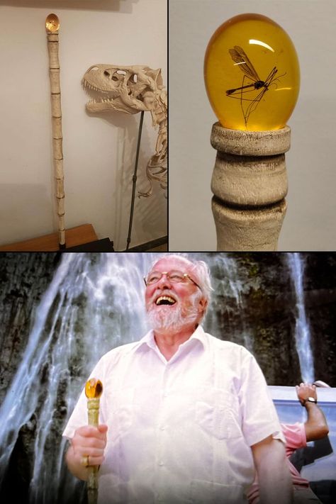 Handcrafted prop replica of John Hammond's cane from Jurassic Park with a real mosquito trapped in amber on top of a dinosaur bone inspired wooden cane. Humour, Jurassic Park Amber Mosquito, Jurassic Park Props, Jurassic Tattoo, Jurassic Park Room, John Hammond Jurassic Park, Jurassic Park Mosquito, Jurassic Bedroom, Dinosaur Jokes