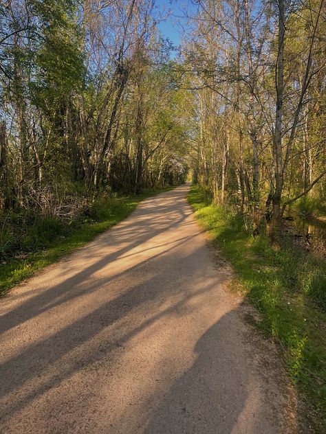 beautiful walking trail in the evening :-) Nature, Walking Trail Aesthetic, Walking Aesthetic, Walking Outside, Trail Walking, Girl Walk, Walking Trail, March 2024, Walking Trails
