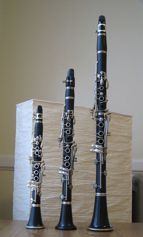 Size comparison among the A♭, E♭, and B♭ clarinets Oboe Aesthetic, Piccolo Instrument, Clarinet Music, Clarinets, Clarinet Sheet Music, Band Jokes, Music Jokes, Saxophones, Music Nerd