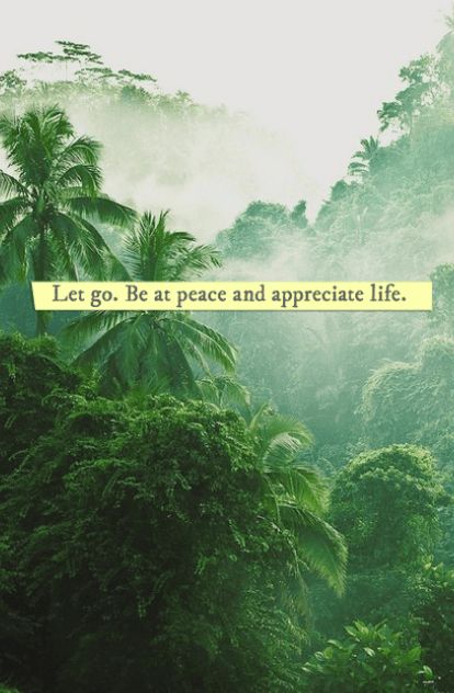 #quotes #inspirational #positive #smart #life Nature, Inner Peace, Inspiring Quotes, Be At Peace, Appreciate Life, Life Poster, At Peace, Quotes About Strength, Let Go