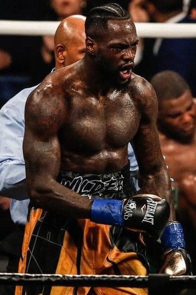 Deontay Wilder Deontay Wilder Wallpaper, Boxing Photos, Buff Men, Black Boxers, Body Man, Boxing Images, Deontay Wilder, Boxing Posters, Japanese Sports Cars