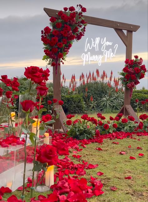 Wedding Arch Red Roses, Proposal Ideas Red Roses, White Flower Proposal, Red Rose Engagement Party, Red And White Wedding Aesthetic, Red And Gold Engagement Party Ideas, Red Rose Wedding Arch, Outdoor Proposal Decorations, Red Rose Theme Wedding