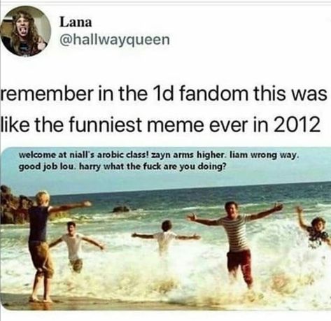 Humour, One Direction Videos, Liam And Zayn, One Direction Jokes, Harry Louis, Larry Shippers, 1d Funny, Direction Quotes, One Direction Photos