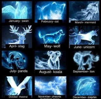 Patronus Animals, Harry Potter Zodiac, Harry Potter Life Quiz, Zodiac Signs Animals, Harry Potter Patronus, Citate Harry Potter, Zodiac Signs Pictures, Mermaid Sign, Personaje Fantasy