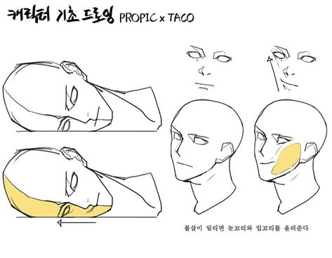 When the cheeks are squished, the tip of the mouth and eyes push upwards. 얼굴 드로잉, Anatomy Tutorial, 얼굴 그리기, Face Drawing Reference, Human Anatomy Art, Anatomy Sketches, Body Reference Drawing, Gambar Figur, Poses References