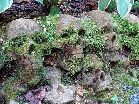 Gothic Garden Statues, Goth Homestead, Whimsigoth Garden, Dollar Store Garden Ideas, Goth Garden, Gothic Garden, Witch Garden, Halloween Designs, Carnivorous Plants