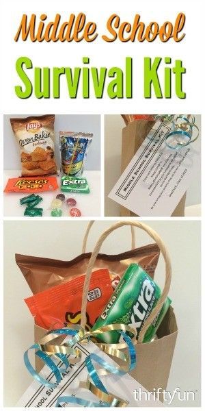 This is a guide about making a middle school survival kit. These snack laden bags make for a special gift for your child, as they leave lower or elementary school and prepare to start middle school in the fall. Rewards For Good Behavior At School, Middle School Gift Ideas, Middle School Gifts For Students, Middle School Survival Kit 6th Grade, End Of Year Gifts For Students 5th Grade, 6th Grade Graduation Ideas Gifts, Gifts For Middle School Students, Elementary School Graduation Ideas, Grade 8 Graduation Gift Ideas