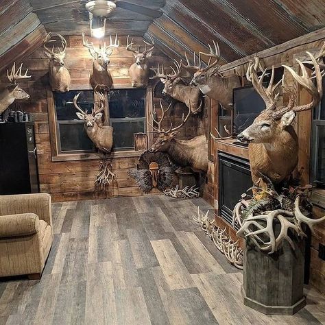 Deer Mounts In Living Room Farmhouse, Deer Mounts In Living Room, Trophy Rooms Hunting, European Deer Mount Ideas, European Deer Mount, Skull Mount Ideas, Hunting Room Design, Turkey Hunting Decor, Deer Mount Decor