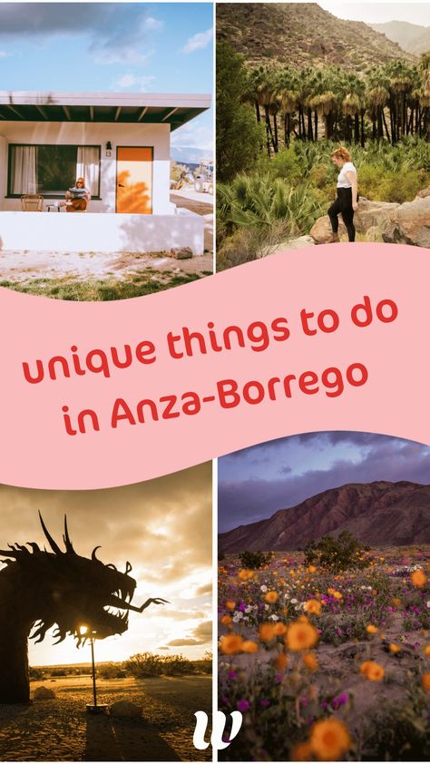 Uncover the secrets of Anza-Borrego Desert State Park! My guide reveals 13 hidden things to do in Borrego Springs, from stunning hikes to unique eats and surprising adventures. Anza Borrego State Park, Borrego Springs, Anza Borrego, California Wildflowers, Spring Hiking, Wine Tasting Experience, Spring Cocktails, Living In San Francisco, California City