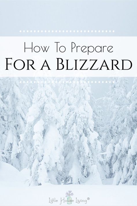 Winter Storm Essentials, Snow Storm Preparation, Blizzard Preparedness, Emergency Notebook, Winter Storm Prep, Winter Storm Preparedness, Cold Weather Hacks, Winter Preparation, Winter Preparedness