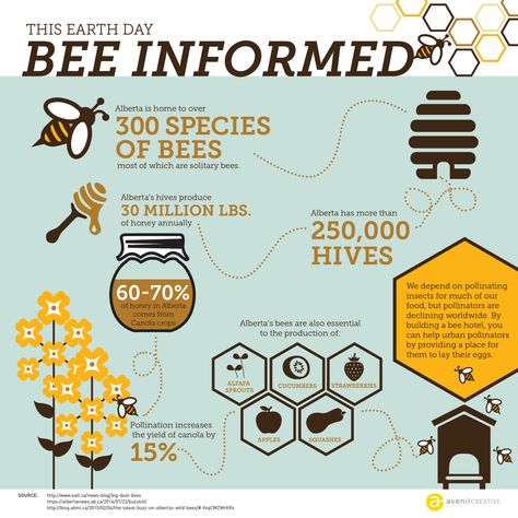 Bee Informed Infographic Bee Infographic Design, Insect Infographic, Bee Infographic, Honey Facts, Honey Bee Facts, Animal Infographic, Bee Conservation, Bee Facts, Hostels Design