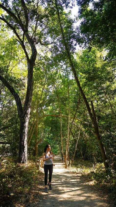 Nature, Nature Psychology, Grounding Practices, Wellness Vibes, Nature Therapy, Mental Health Inspiration, Monterey Peninsula, Great Health, Wellness Lifestyle