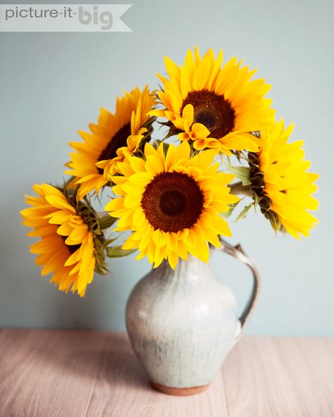 Still Life Plants Photography, Sunflower Still Life Photography, Flowers In A Vase Photography, Sunflower Bouquet Vase, Sunflower In A Vase, Sunflower In Vase, Vase Of Sunflowers, Sunflowers In Vase, Sunflowers In A Vase