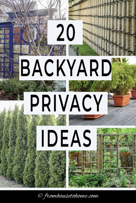 Backyard Privacy Ideas, Privacy Ideas, Too Close For Comfort, Privacy Landscaping, Garden Privacy, Backyard Privacy, Desain Lanskap, Garden Screening, Outdoor Privacy