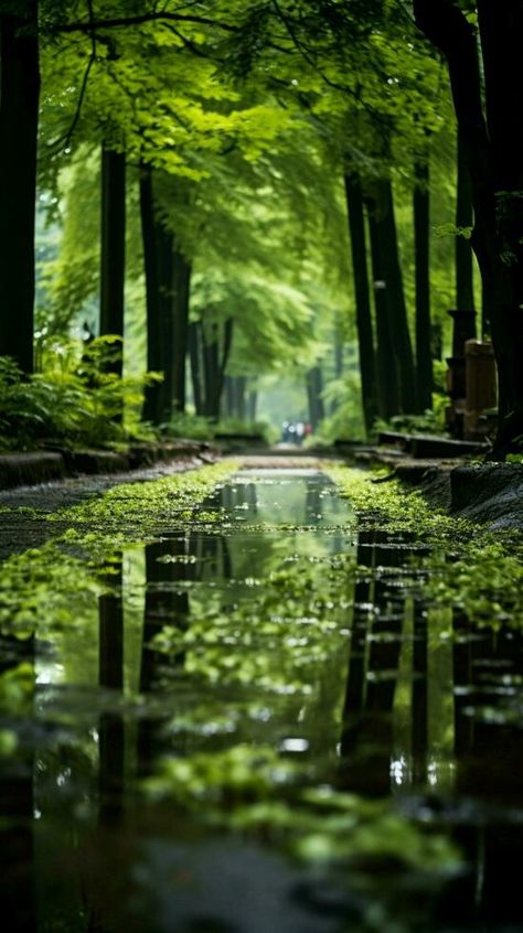 Lush green forest thrives under a refreshing summer rain. Vertical Mobile Wallpaper AI Generated Bonito, Tumblr, Nature, Forest Wallpaper Iphone, Rain Forrest, Lush Green Forest, Rain Wallpapers, Galaxy Wallpaper Iphone, Scenery Photos