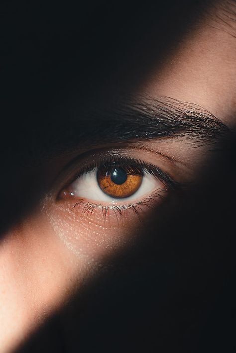 A close up of a person's brown eye photo – Free Dettagli Image on Unsplash Macro Fotografia, Eye Photo, Creative Commons Images, Animal Magnetism, Photos Of Eyes, Bedroom Eyes, Brown Eye, Background Images Hd, Copyright Free