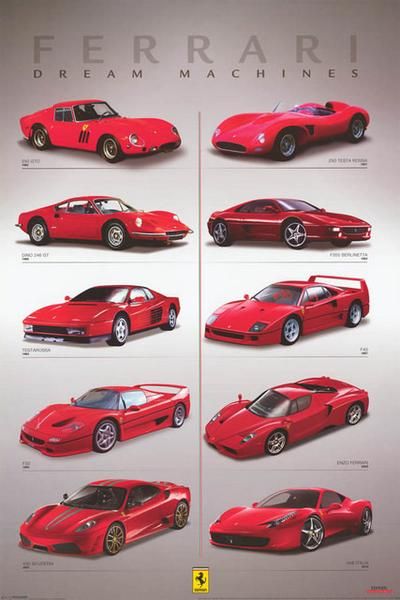 A great poster of Ferrari Dream Machines! Includes the 1962 250 GTO, 1984 Testarossa, 2010 458 Italia, and more. Fully licensed. Ships fast. 24x36 inches. Need Poster Mounts..? py32295 Vintage Auto's, Car Memorabilia, F12 Berlinetta, Volkswagen Karmann Ghia, Jaguar Xk, Ferrari F40, Ferrari Car, Ferrari 458, Italian Cars