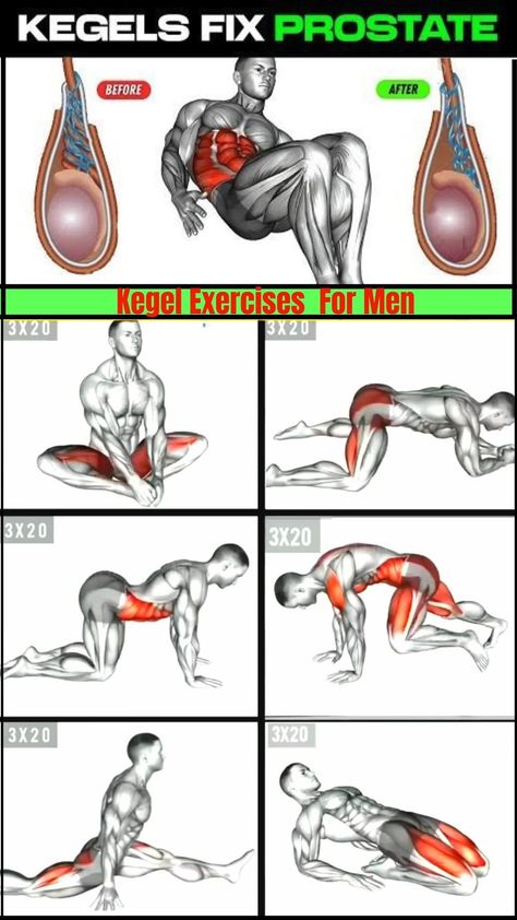 Workout Gif | KEGEL EXERCISES FOR MEN | PELVIC FLOOR EXERCISES #Kegelexercise #pelvichealth #pelvicfloor #kegelformen #homeworkout | Instagram Boxer Workout, Kegel Exercise For Men, Exercises For Men, Gym Workout Guide, Kegel Exercises, Best Gym Workout, Bodybuilding Workouts Routines, Gym Workout Planner, Bodybuilding Workout Plan