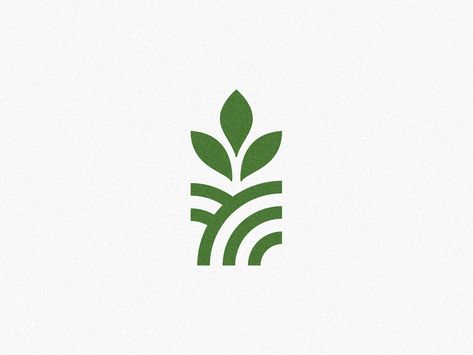 Nature, Seed Logo Design, Seed Branding, Seeds Logo, Plant Logo Design, Sprout Logo, Plants Logo, Growth Logo, Seed Logo