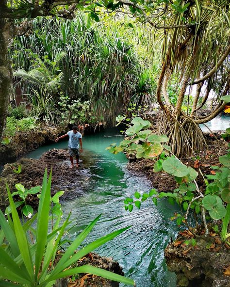 @tito_cahuita shared a photo on Instagram: “Hidden places in Cahuita 😃🌱 . . Picture taken by @taylordignard 📸 . . . .#greencahuita” • Mar 7, 2020 at 10:58pm UTC Paradise, Cahuita, Water, Jungle Paradise, Hidden Places, Garden Bridge, A Photo, Outdoor Structures, 10 Things