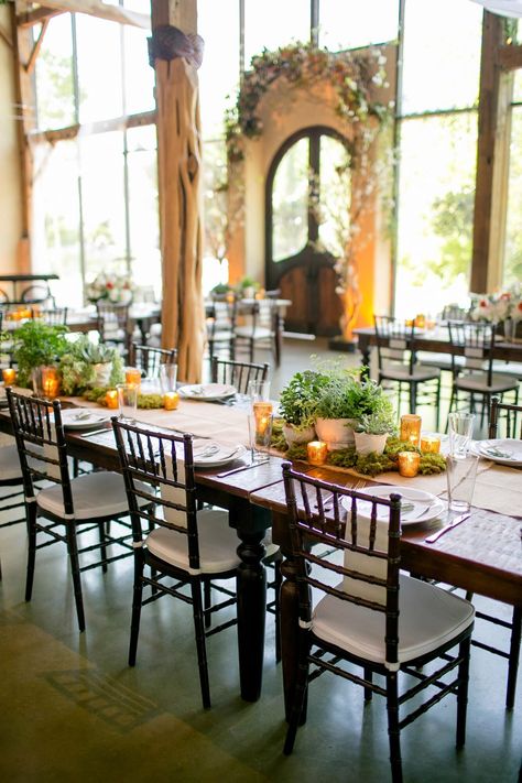 table setting with herb centerpieces and small candles Potted Plant Centerpieces, Herb Centerpieces, Wedding Bouquet Arrangements, Herb Wedding, Plant Centerpieces, Barr Mansion, Rustic Table Numbers, Wedding Plants, Summer Wedding Bouquets