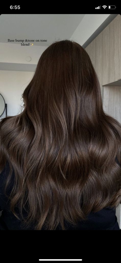 Dark Brown Neutral Hair, Dark Brown Solid Color Hair, Dark Brown Hair With Depth, Chocolate Brown Hair Gloss, All Over Medium Brown Hair Color, Rich Burnett Hair, Darker Brunette Hair, Glossy Dark Brown Hair, Neutral Chocolate Brown Hair