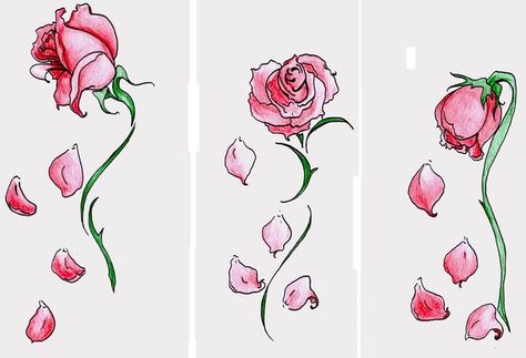 Falling petals tat idea Rose Petals Falling, Wilted Rose, Beauty And The Beast Tattoo, Rose Sketch, Roses Tattoo, Flower Drawings, Tattoo Rose, Rosen Tattoo, Trendy Tattoo