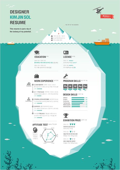 Infographic Cv, Cv Design Professional, Cv Design Creative, Layout Portfolio, Infographic Ideas, Creative Cvs, Interactive Infographic, Cv Original, Visual Resume