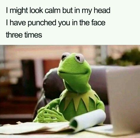 Hilarious Memes, Introvert Meme, Kermit Funny, Introvert Humor, Humor Mexicano, A Silent Voice, Memes Humor, Some Funny Jokes, Funny Relatable Quotes